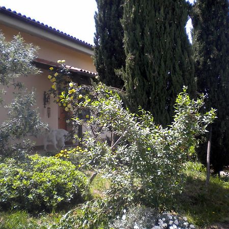 피아노로마노 Le Tre Querce B&B 외부 사진
