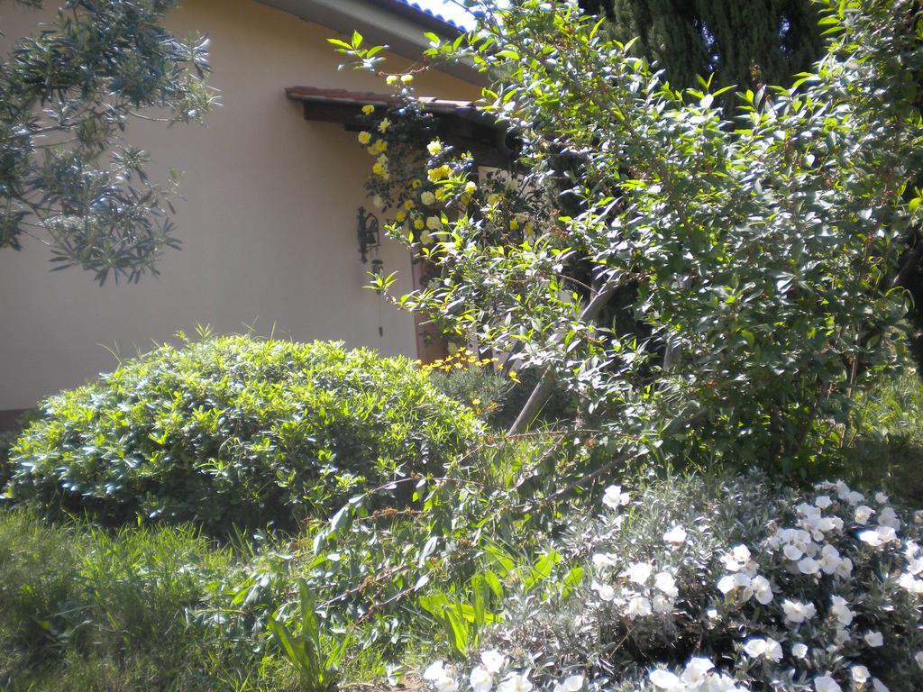 피아노로마노 Le Tre Querce B&B 외부 사진